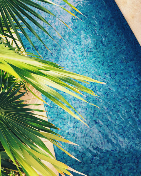 Boost Pool Cleaning Efficiency with TWISTER